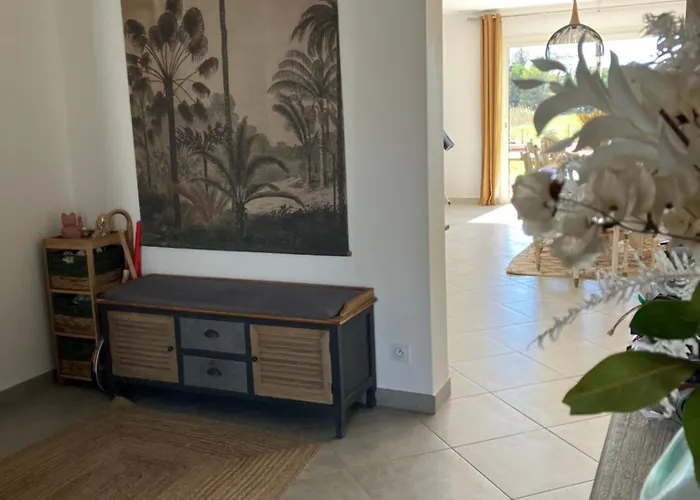 Moderne Confort Familial Piscine Naturelle 11mx3m Σπίτι διακοπών Pézenas